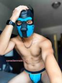 PUPSKYLER